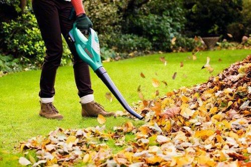 Lapų pūstuvas Bosch ALB 18 Li be akumuliatoriaus ir kroviklio