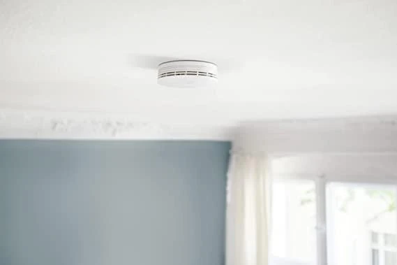 Bosch Bosch dūmų detektoriaus signalizacija (rutulinis maišas)