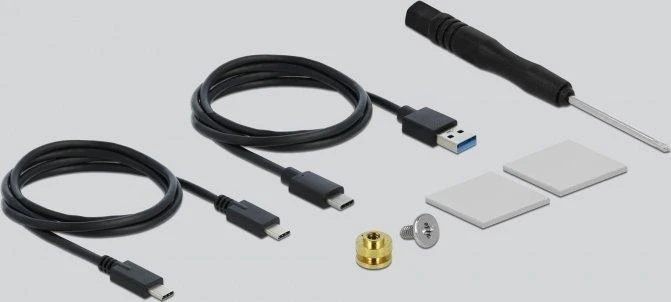 Delock M.2 NVME PCIe SSD lizdas – USB-C 3.2 Gen 2 (42620)