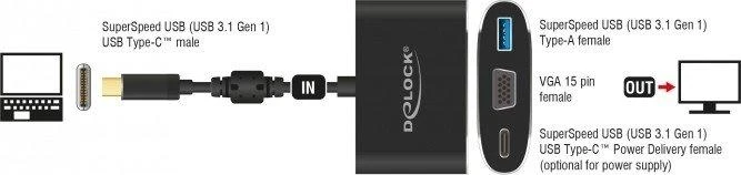 Delock USB-C adapterio prijungimo schema