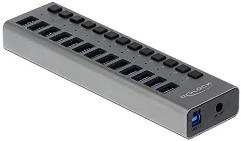 Delock 13 prievadų USB šakotuvas su mygtukais
