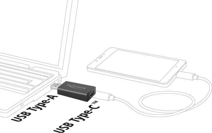 Delock USB adapterio sujungimo schema