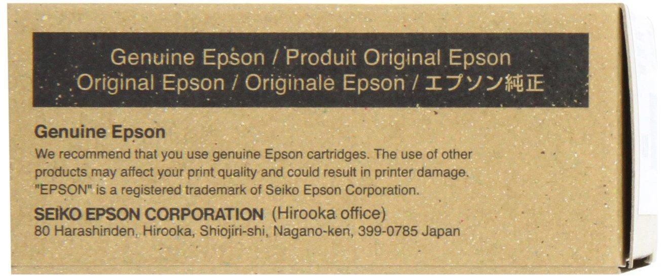 Epson rašalo kasetė Light Juodas T580700
