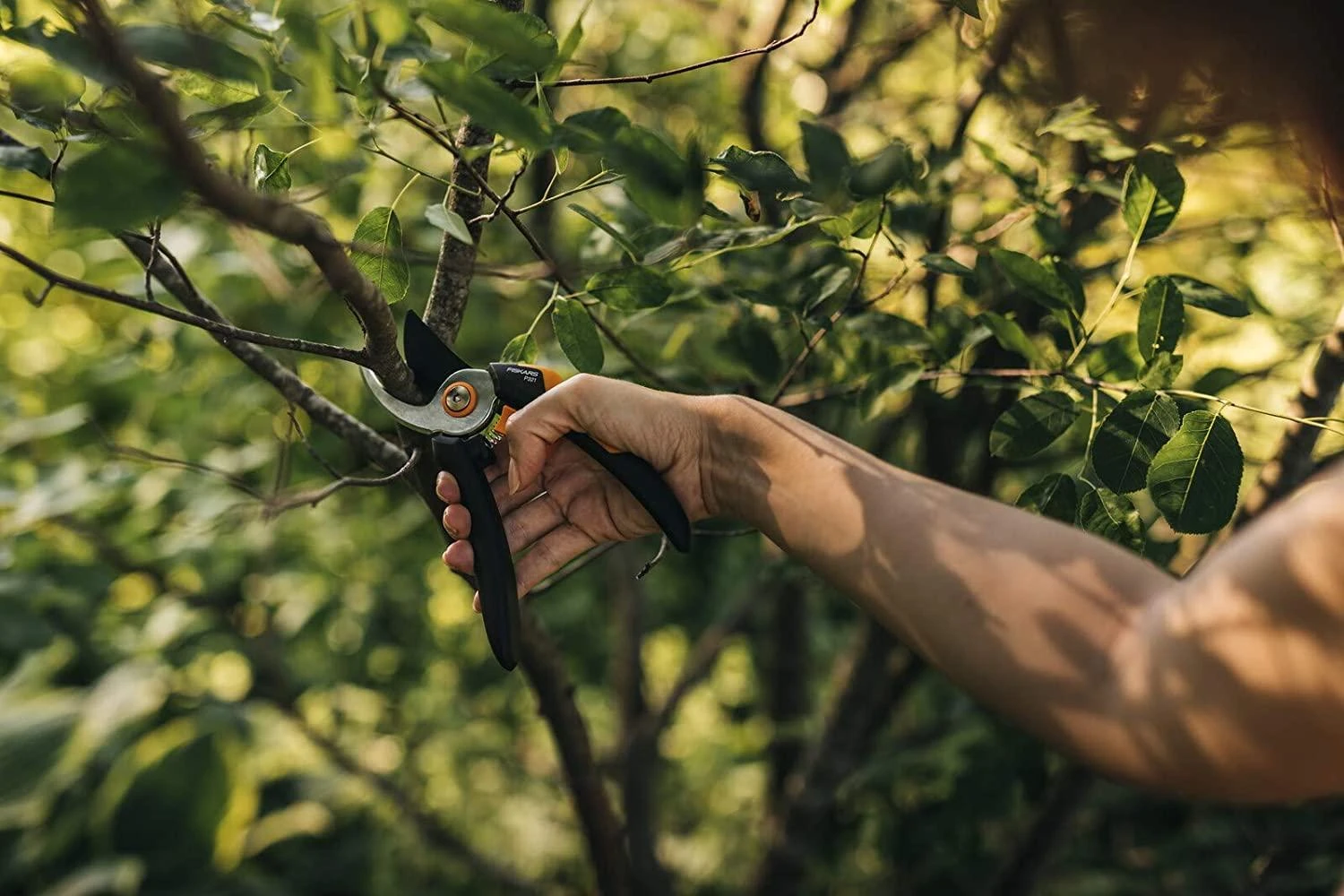 Fiskars Solid™ sekatorius prasilenkiančiais ašmenimis M (P321)