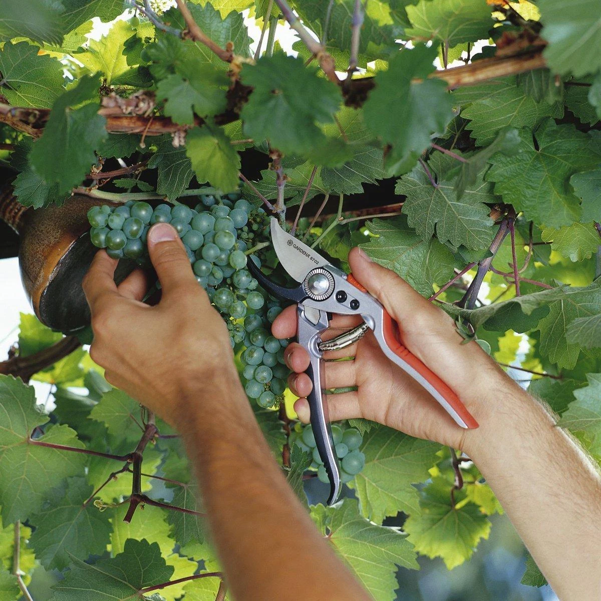 Gardena Aukščiausios klasės sekatorius "BP 50"