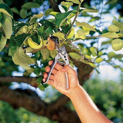 Gardena Aukščiausios klasės sekatorius "BP 50"