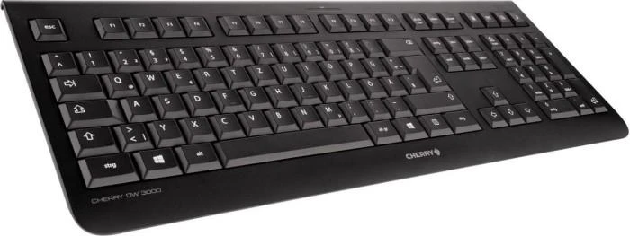 CHERRY DW 3000 klaviatūra Radijo dažnio belaidė QWERTY Anglų (JAV) Juoda