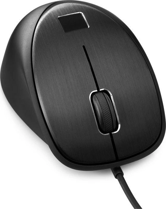 Hewlett Packard (HP) HP USB su laidu Fingerprint Pelė - Juodas