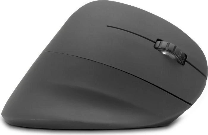 Laidinė pelė Logitech M500 juoda