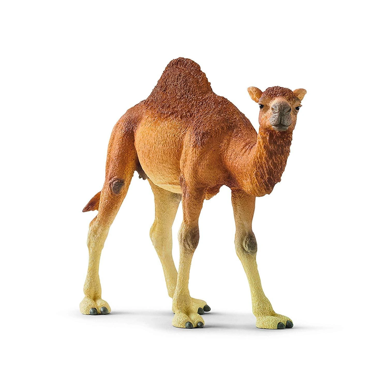 Schleich figūrėlė Vienkupris kupranugaris