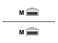 Sharkoon Patchkabel RJ45 Cat.6 SFTP (juodas, 25 cm)