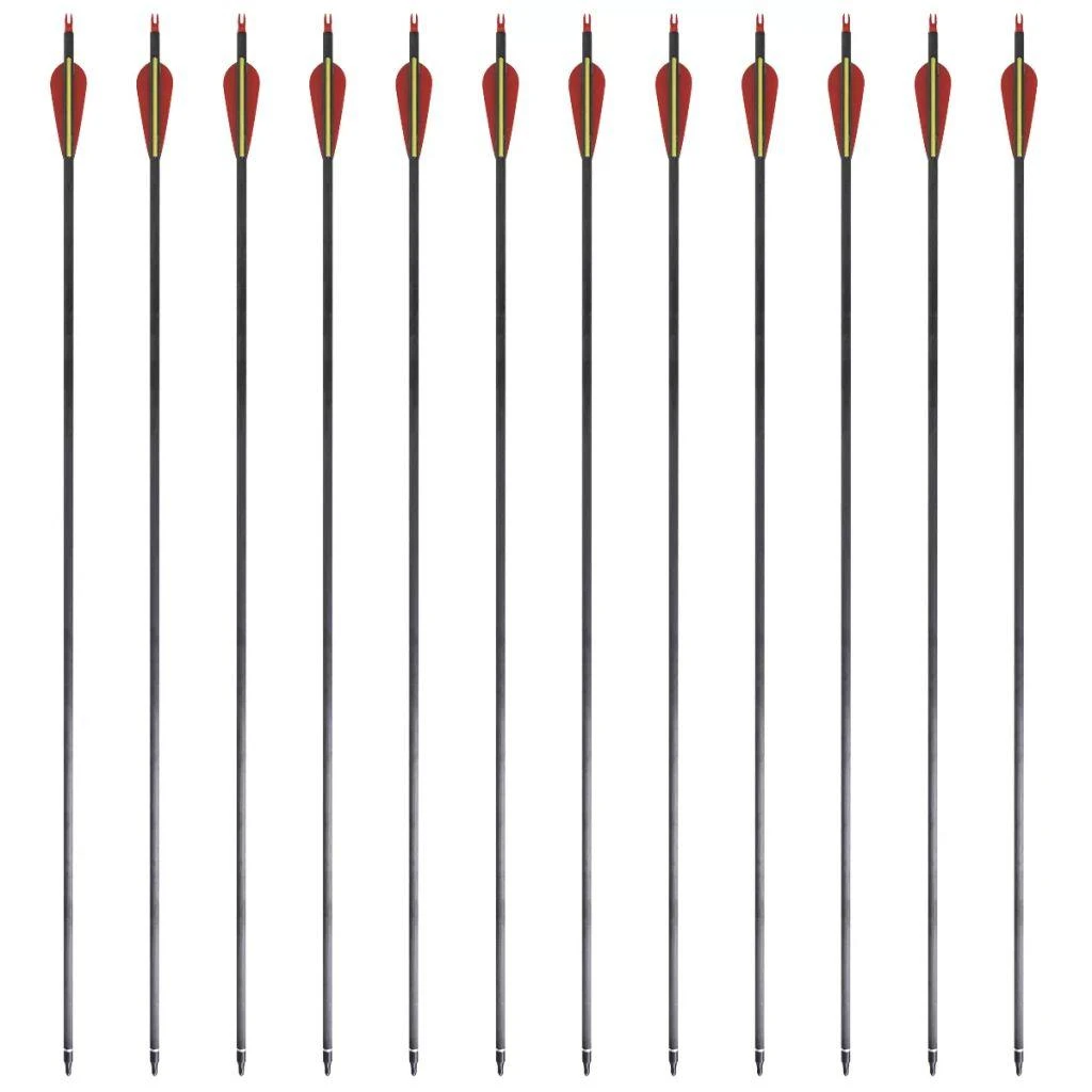 Standartinės lenkto lanko strėlės, 12vnt., anglis, 30", 0,76cm