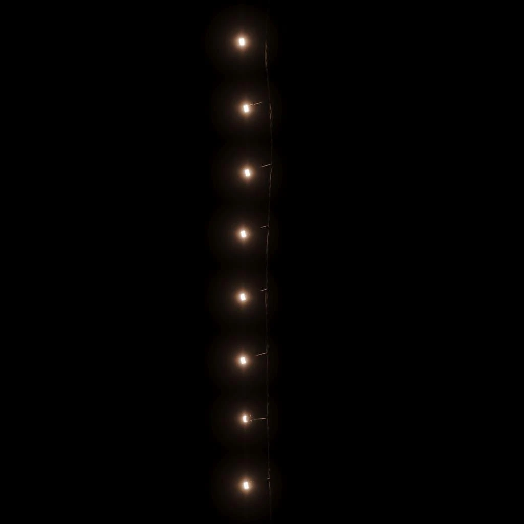 300 LED lempučių girlianda, šiltos baltos spalvos, 30m, PVC