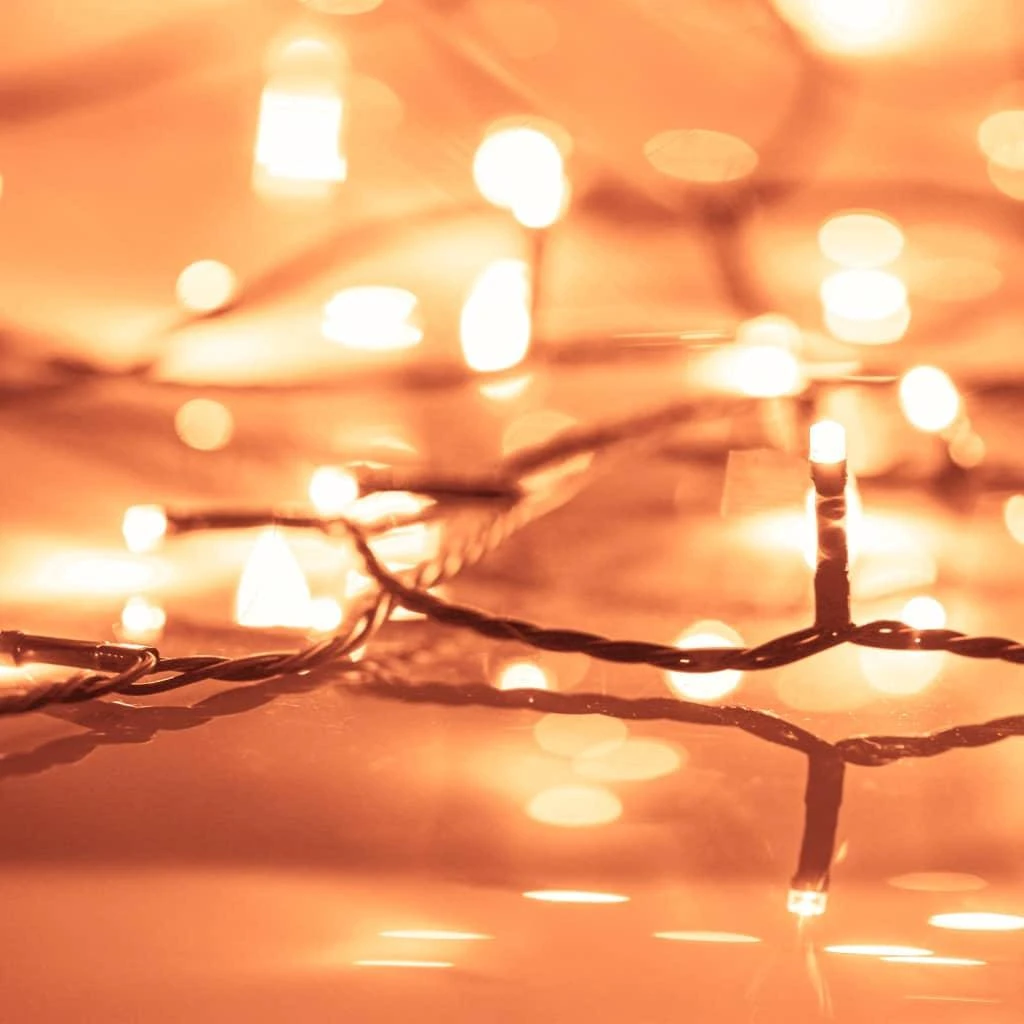 300 LED lempučių girlianda, šiltos baltos spalvos, 30m, PVC