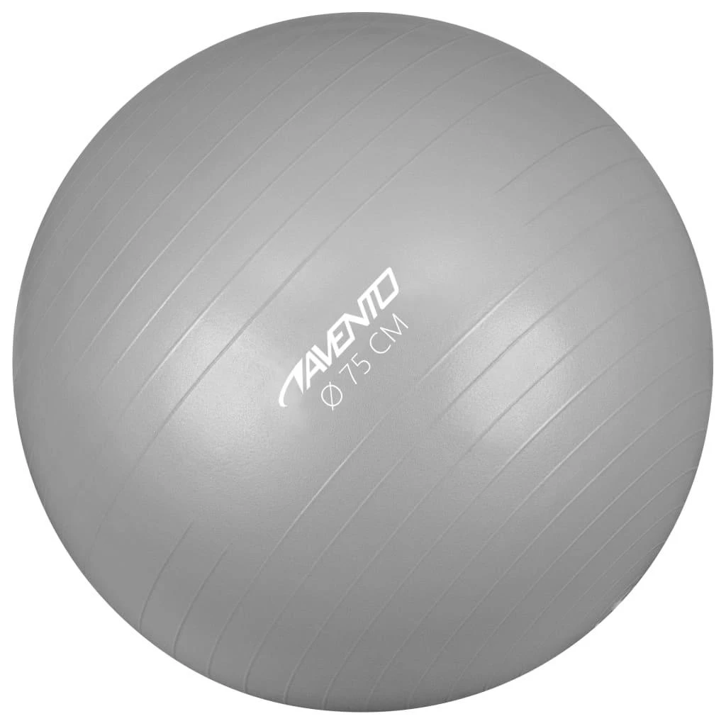 Gimnast. kamuolys AVENTO 42OC 75cm Sidabrinis