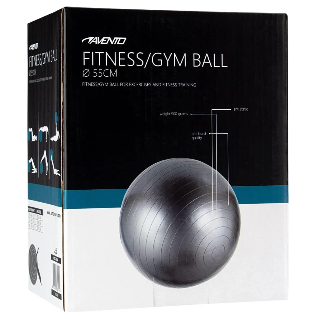 Gimnast. kamuolys 55cm AVENTO 42OA Sidabrinis