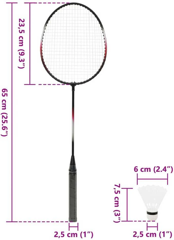 Badmintono rinkinys su 2 raketėmis/tinkleliu, 292x30x152cm