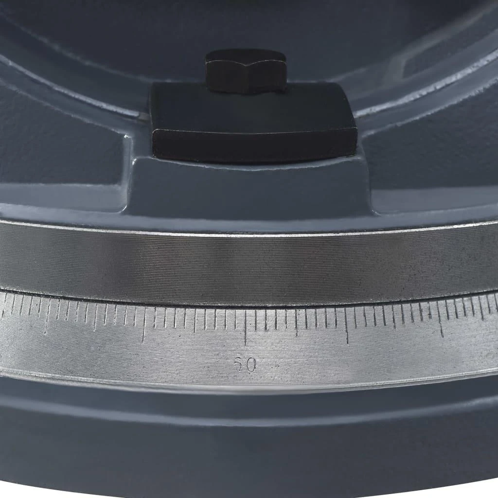 Dviejų ašių pakreipiamas spaustuvas, 160mm