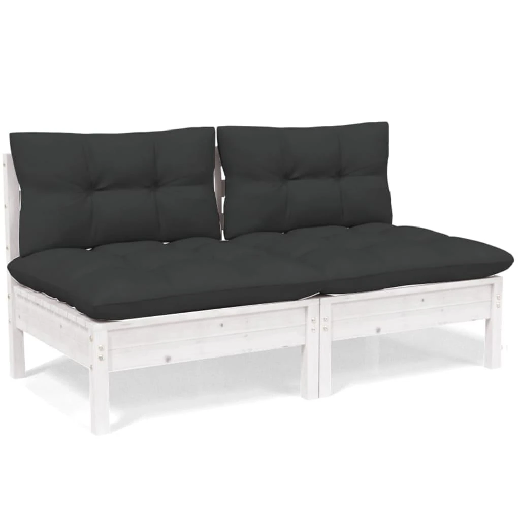 Dvivietė sodo sofa su antracito pagalvėlėmis, pušies masyvas