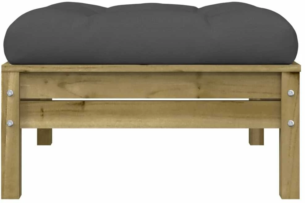 Dvivietė sodo sofa su pagalvėlėmis ir pakoja