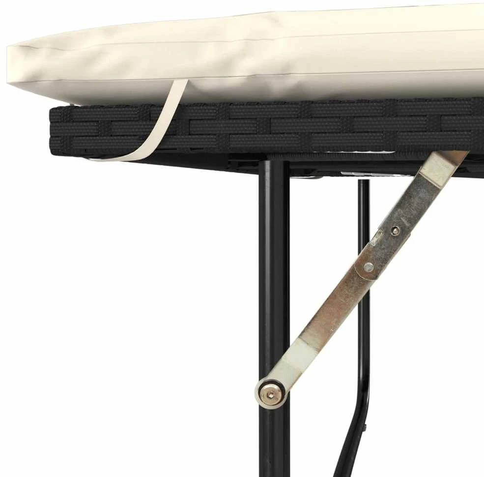 Dvivietė sodo sofa su pagalvėlėmis, juoda, poliratanas/akacija