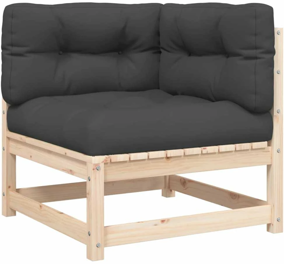 Dvivietė sodo sofa su pagalvėlėmis, pušies medienos masyvas