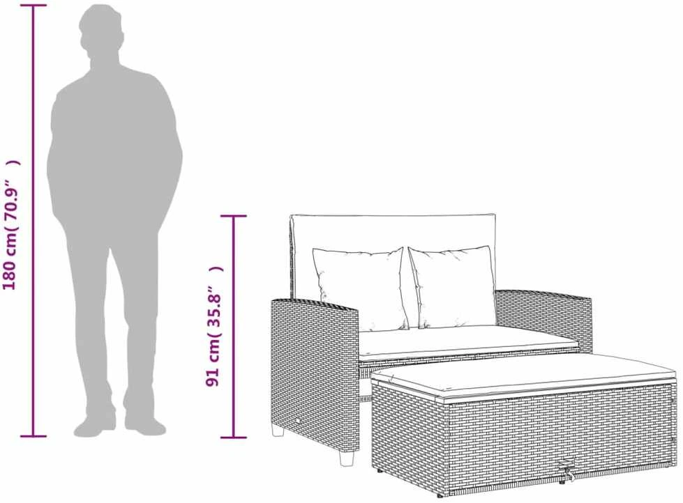 Dvivietė sodo sofa su pagalvėlėmis, smėlio, poliratanas/akacija