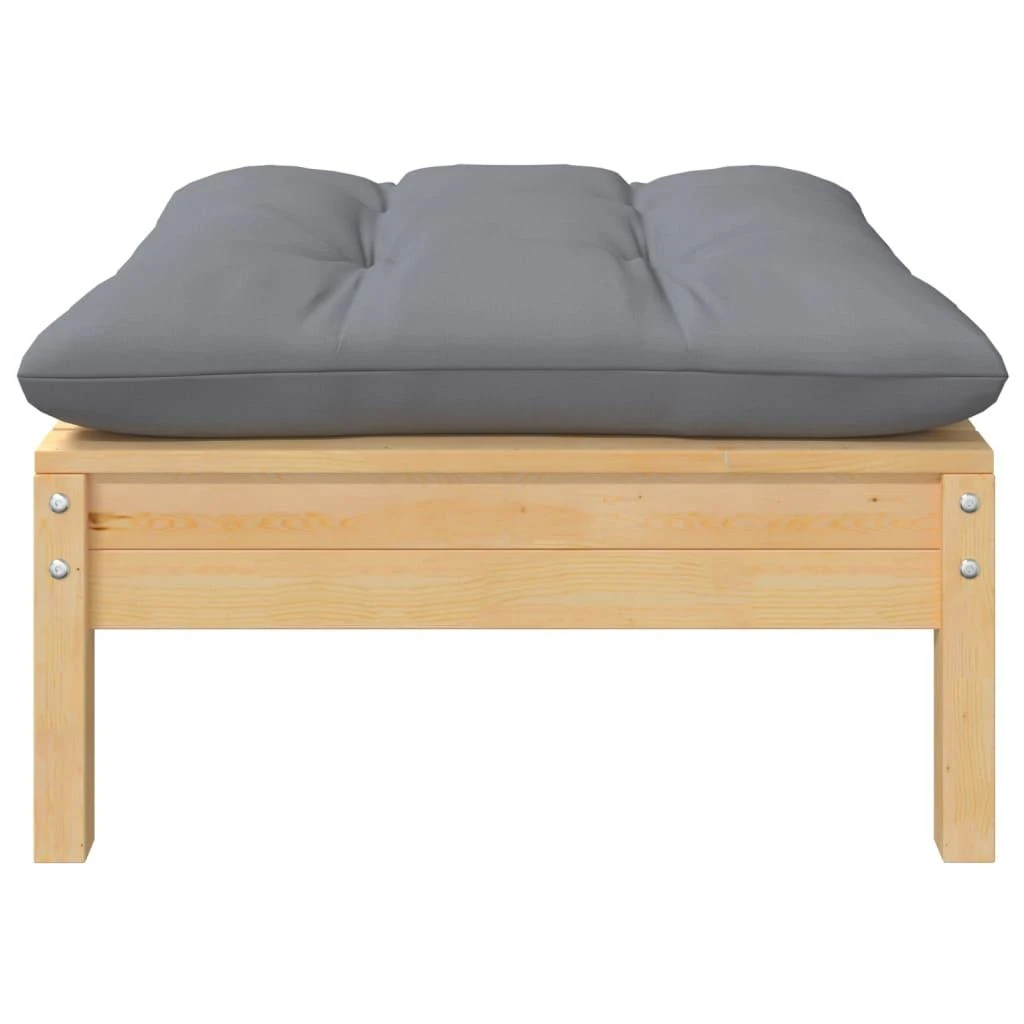 Dvivietė sodo sofa su pilkomis pagalvėlėmis, pušies masyvas