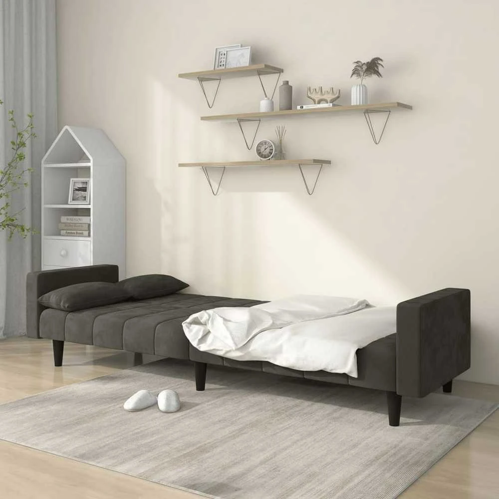 Dvivietė sofa-lova su dvejomis pagalvėmis, pilka, aksomas