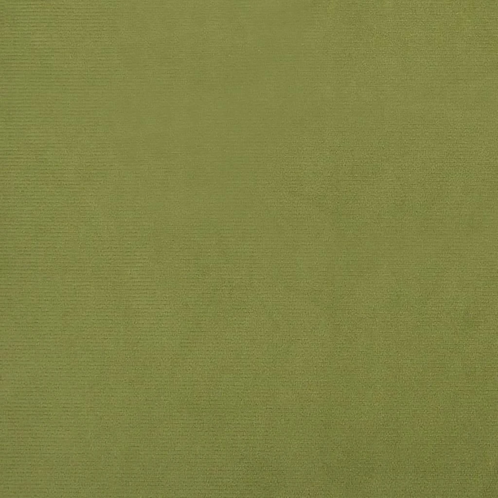 Dvivietė sofa-lova su dvejomis pagalvėmis, žalia, aksomas