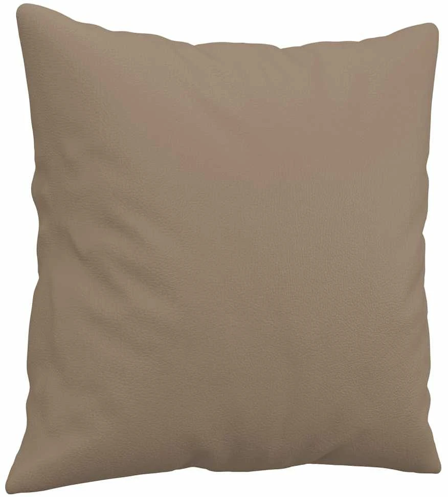 Dvivietė sofa su pagalvėlėmis, kapučino, 120cm, dirbtinė oda
