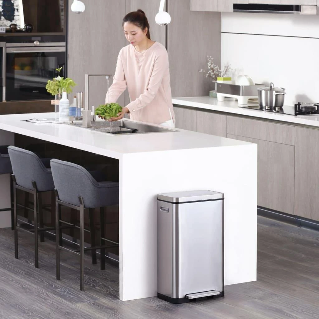 EKO Šiukšliadėžė su pedalu X-Cube, matinės sidabrinės spalvos, 30l