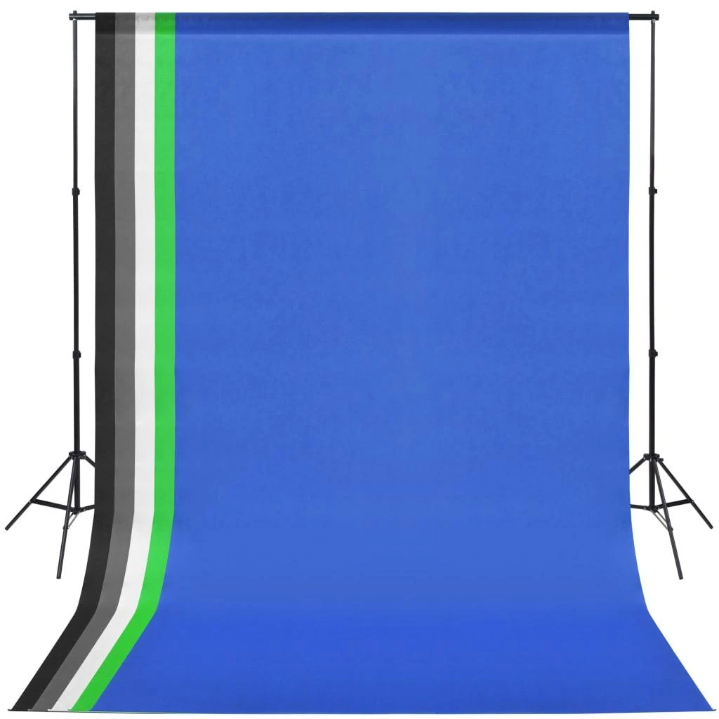 Fotostudijos komplektas su šviestuvais ir fonais