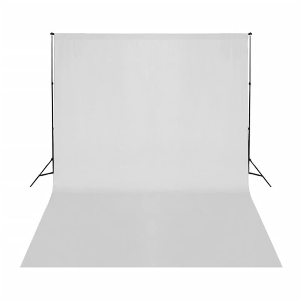 Fotostudijos rinkinys su šviestuvais, fonu ir reflektoriumi