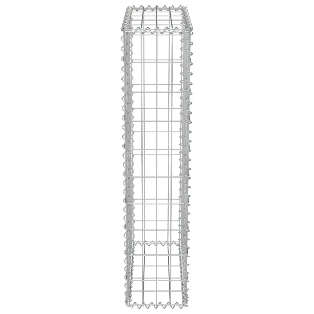 Gabiono siena su dang., galvanizuotas plienas, 50x20x100cm