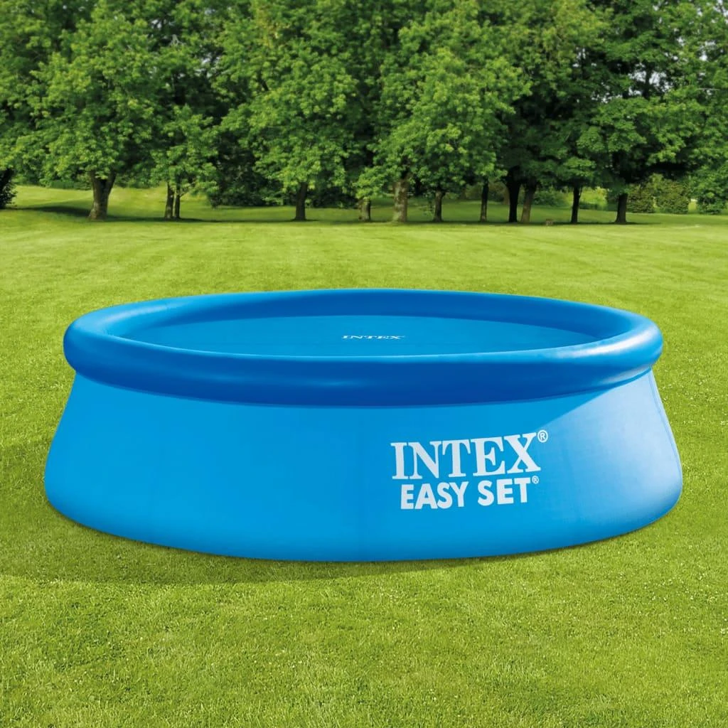 Telone Intex Baseino uždangalas, mėlynas, 206cm, polietilenas