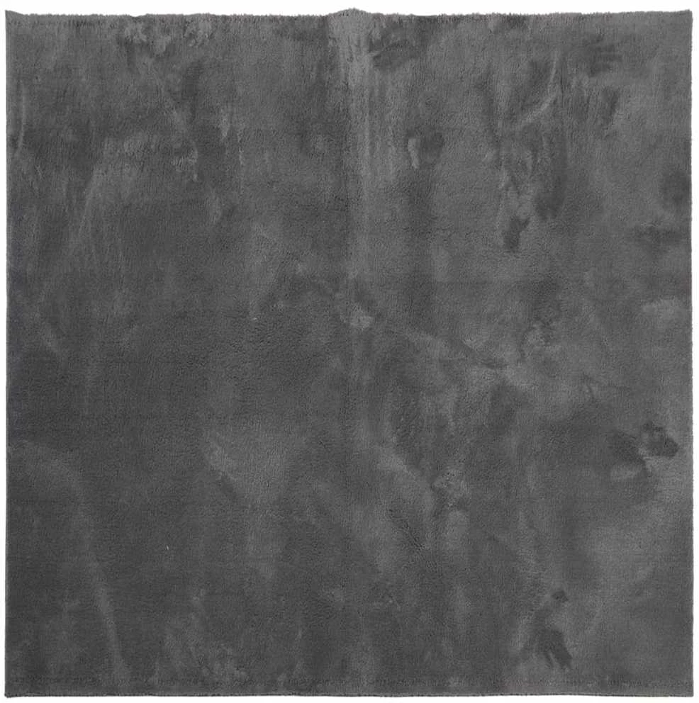 Kilimas HUARTE, antracito, 160x160 cm, trumpi šereliai