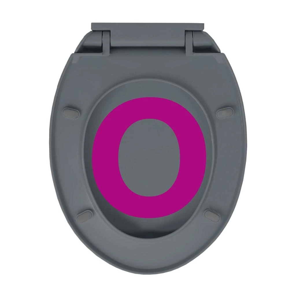 Klozeto sėdynė su soft-close mechanizmu, pilkos spalvos, ovali