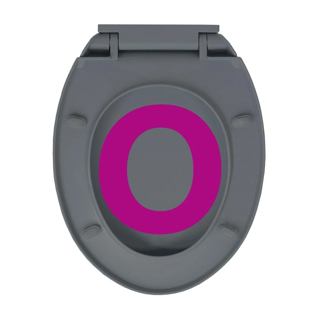 Klozeto sėdynė su soft-close mechanizmu, pilka, ovali
