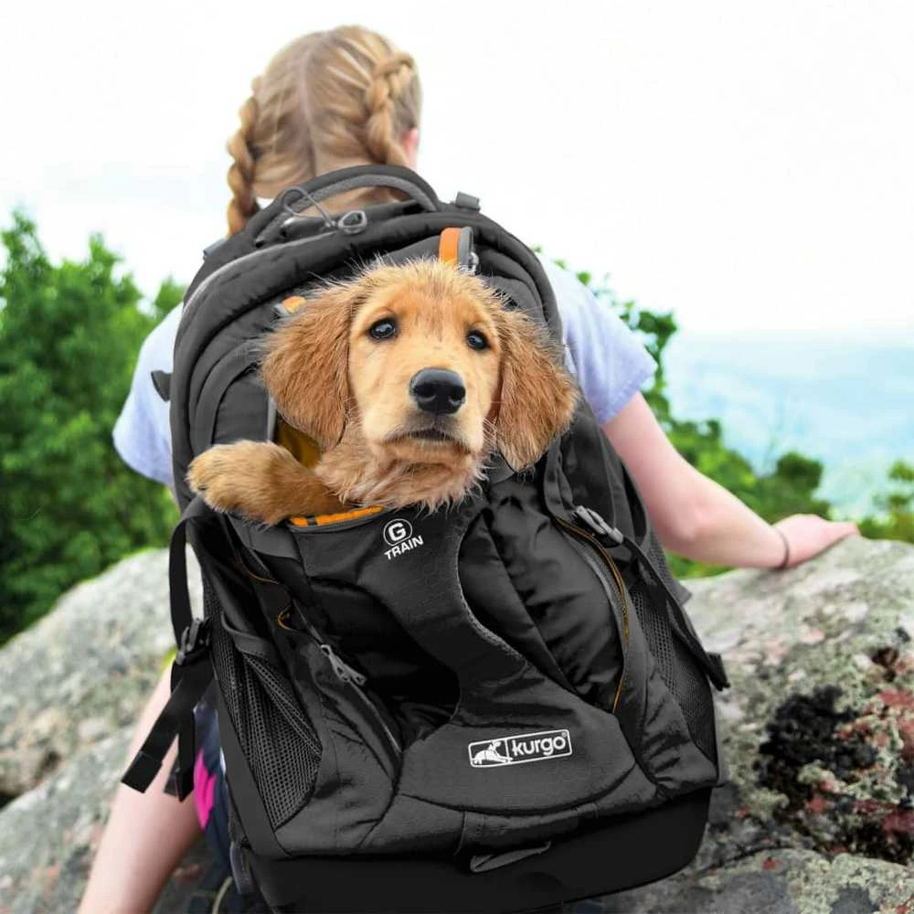Kurgo G-Train Dog Carrier kuprinė skirta mažų šunų, turinčių didelę trauką nuotykiams ir kelionėms kartu su savo šeimininku