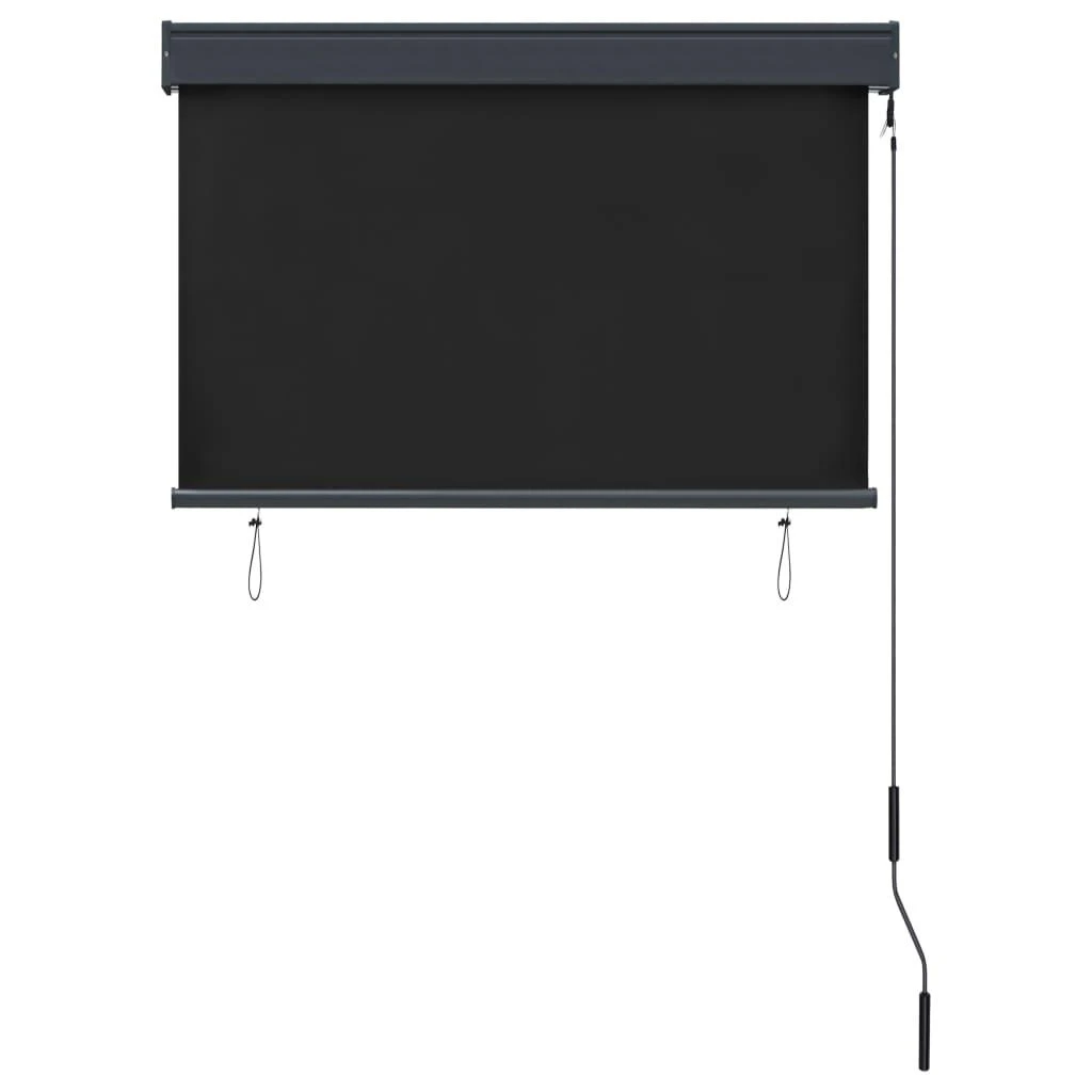 Lauko roletas, antracito spalvos, 100x250cm