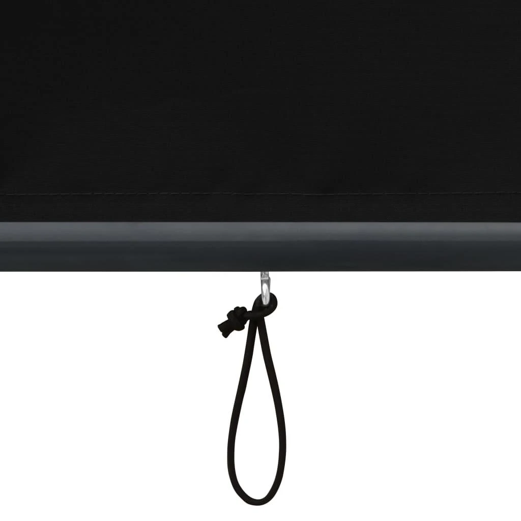 Lauko roletas, antracito spalvos, 120x250cm