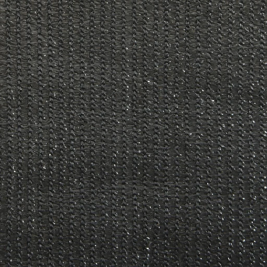 Lauko roletas, antracito spalvos, 60x140cm