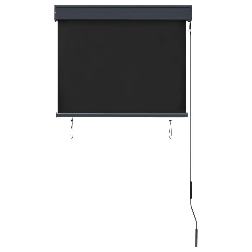 Lauko roletas, antracito spalvos, 80x250cm