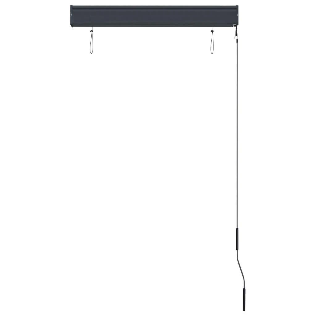 Lauko roletas, antracito spalvos, 80x250cm