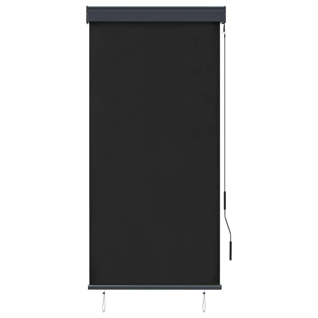 Lauko roletas, antracito spalvos, 80x250cm
