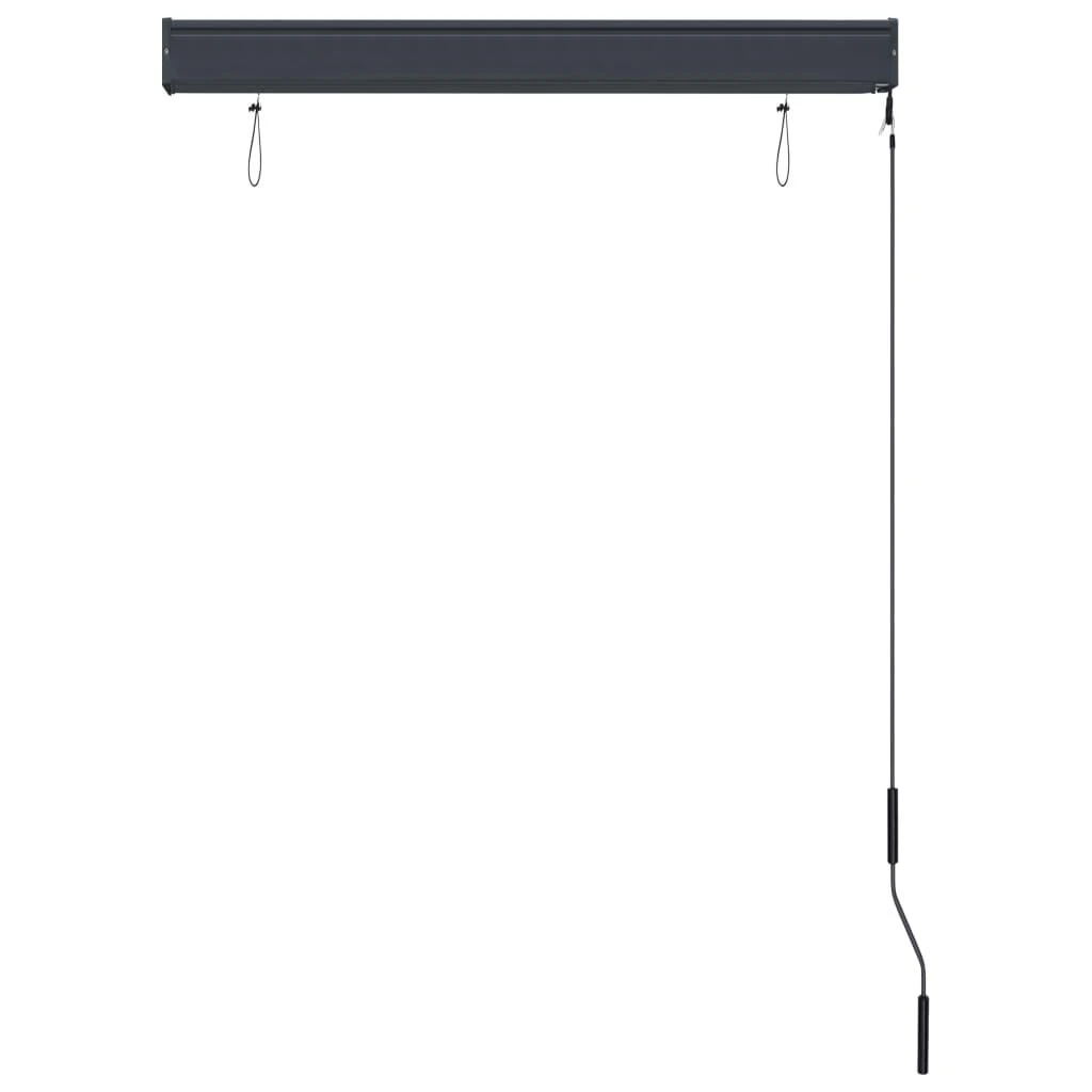 Lauko roletas, baltos ir mėlynos spalvų, 100x250cm