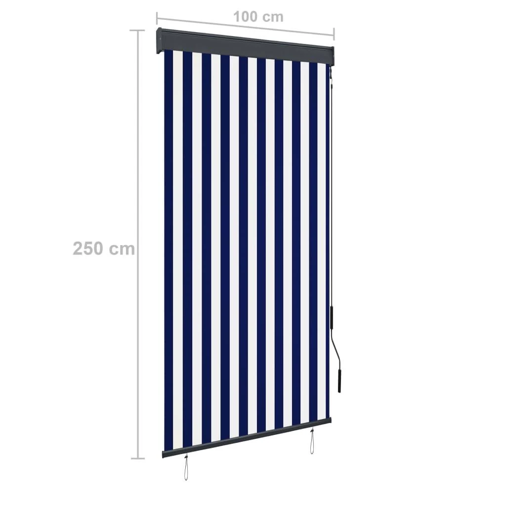 Lauko roletas, baltos ir mėlynos spalvų, 100x250cm