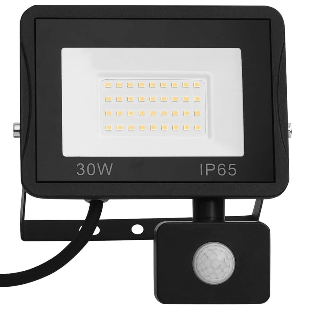 LED prožektorius su jutikliu, šaltos baltos spalvos, 30W