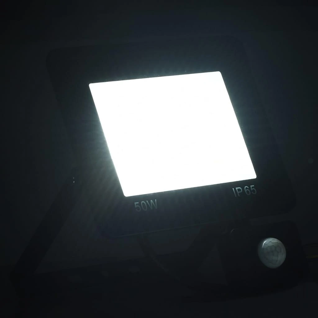 LED prožektorius su jutikliu, šaltos baltos spalvos, 50W